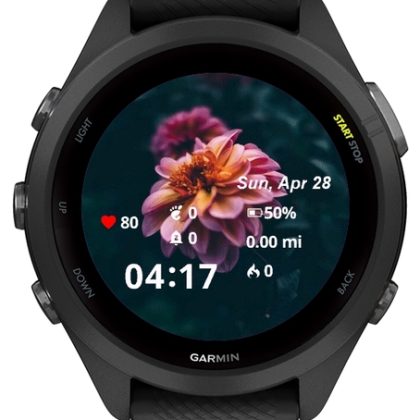 Flower Background