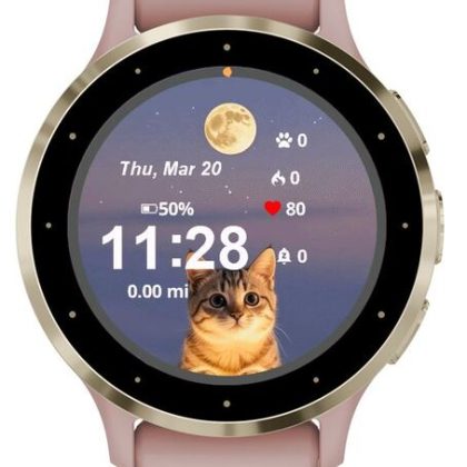 Happy Cat Look At Moon
