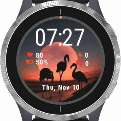 Flamingo Birds