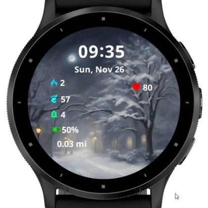 Snowy Nocturne