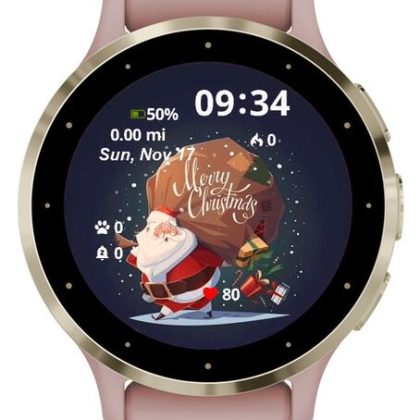 Santa Celebration