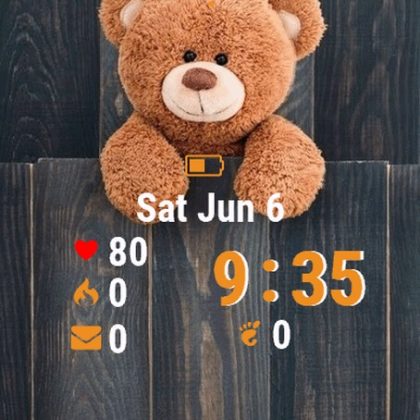 Teddy Bear Hanging