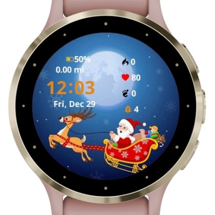Santa in his christmas sled