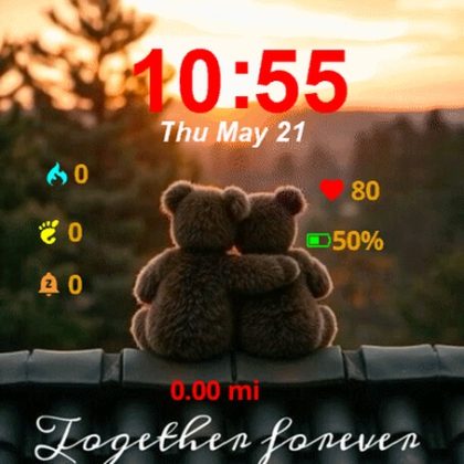 Teddy Bear Sitting Top Roof