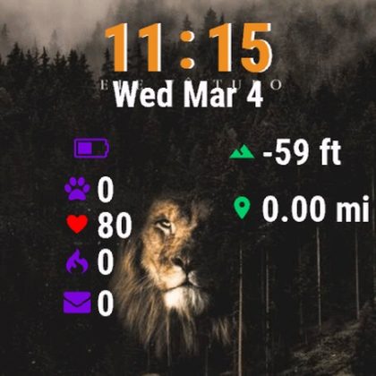 Lion Middle Forest