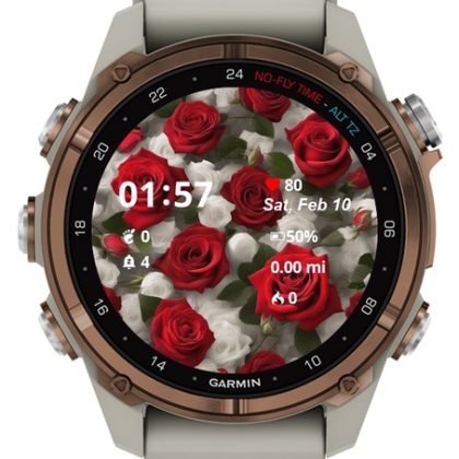 Flower Red Roses