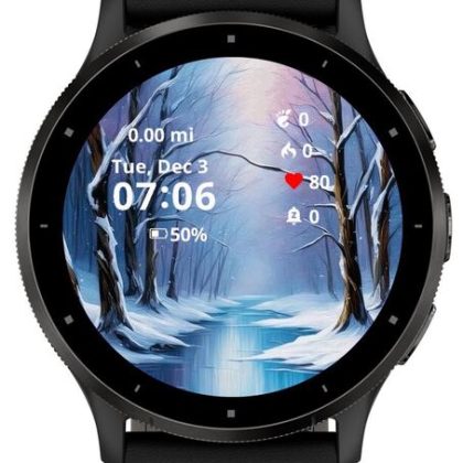 Snowy Forest