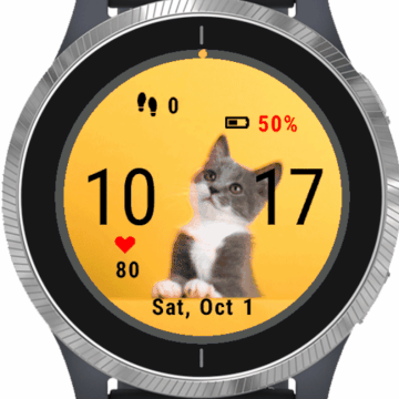 Cute Little Cat 2