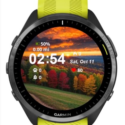WatchFacesThemes — Halloween Pack — 25 Themes