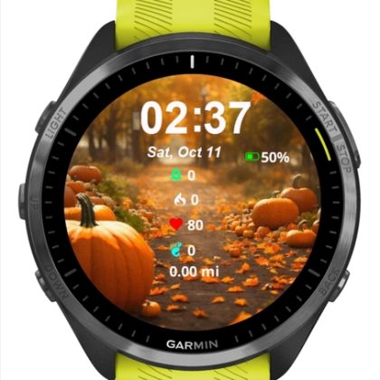 WatchesGarmin4 — Halloween Pack — 25 Themes
