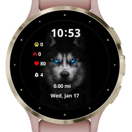 WatchesGarmin6 — All In 1 Gold Pack — 590 Themes