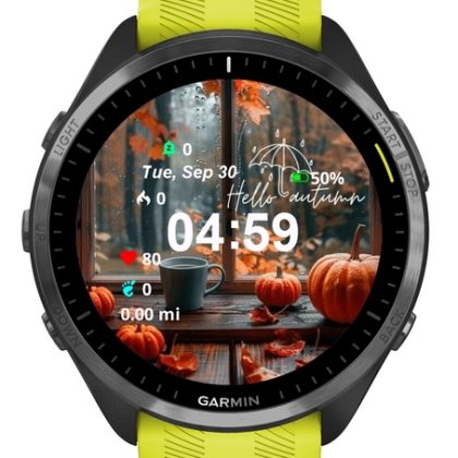 AllGarminWatches17 — Halloween Pack — 35 Themes