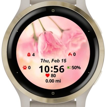 WatchesGarmin4 — Nature Flowers Love Summer Pack — 220 Themes