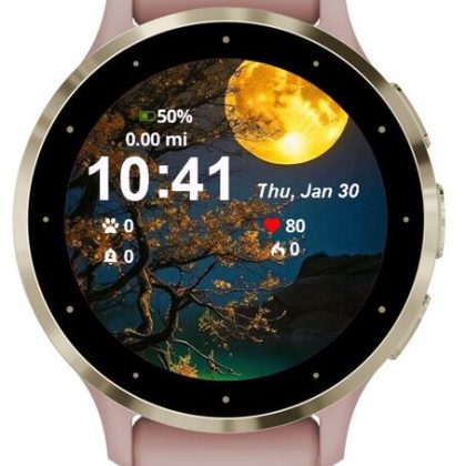 Landscape Moon