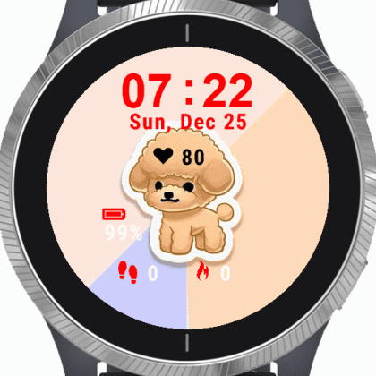 Cute Poodle