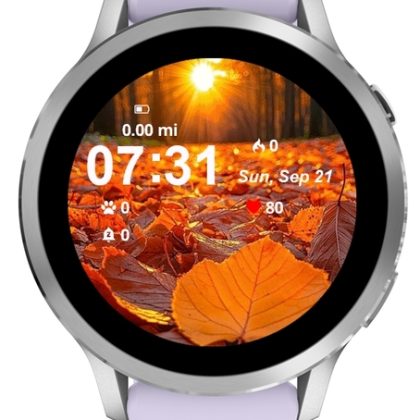 Leaves Fall