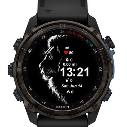 The Black Lion