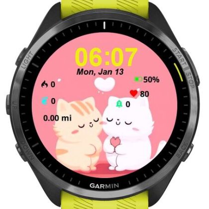 Two Lovely Cat