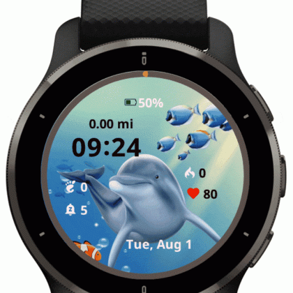 Cute Dolphin
