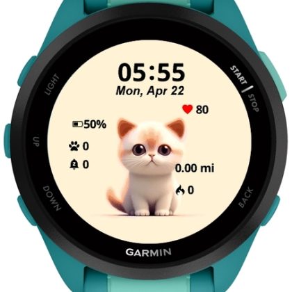 Little Cute Cat