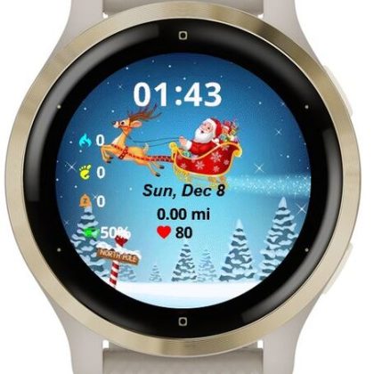 Reinder Santa