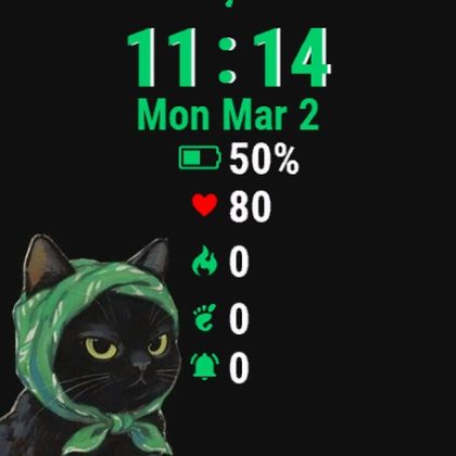 Black Cat Green Hat