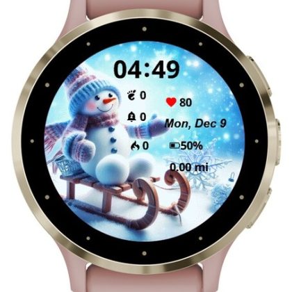 Snowman rides a sleigh