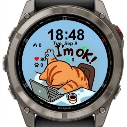Tired Cat