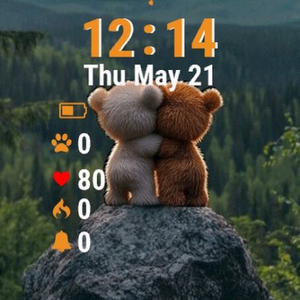 Teddy Bear Sitting Top Rock