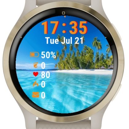Beautiful Tropical Beach Palm