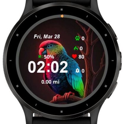 The Rainbow Parrot