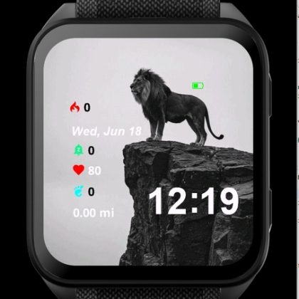 The King Tiger