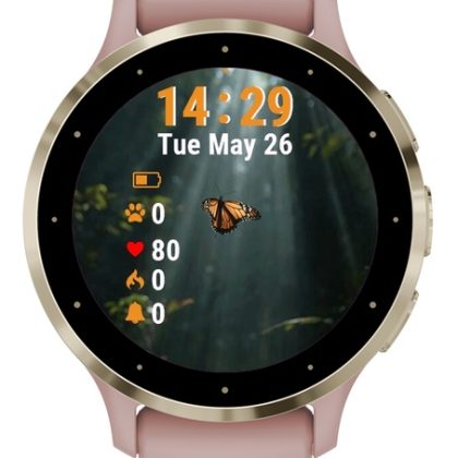 Butterfly Flying Air